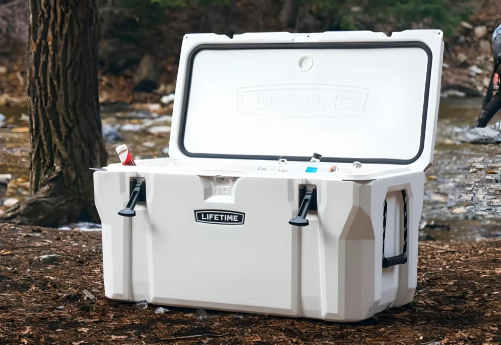 portable cooler box