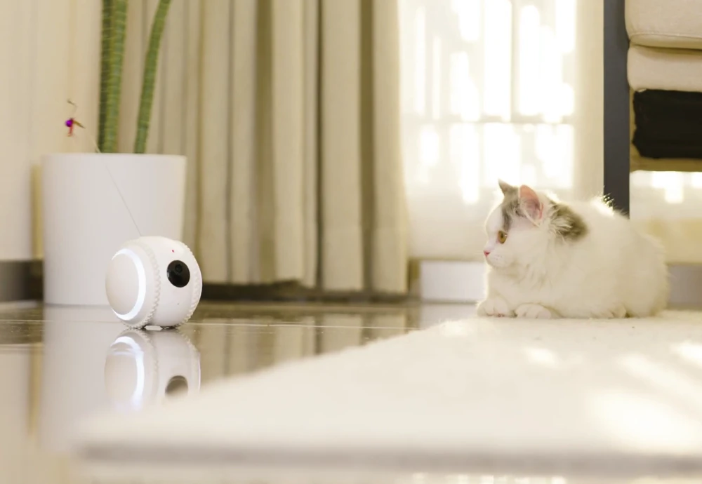 best indoor camera for pets